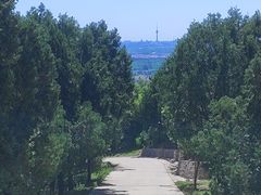 -北京西山国家森林公园