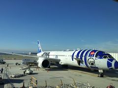 -全日本空输株式会社(上海办事处)