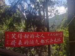 -刘伯温故里景区百丈漈