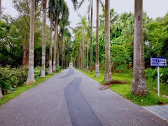 -华南国家植物园-售票处