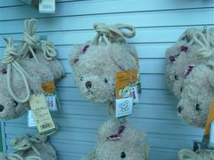 -济州岛泰迪熊博物馆