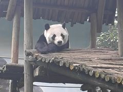 -柳州市动物园