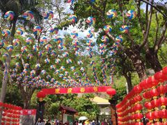 -板樟山森林公园