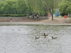 -太阳宫公园