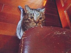 -云端咖啡私房店(河松街店)