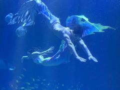 -华夏文旅海洋公园