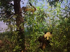 -陕西自然博物馆