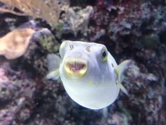-新加坡海洋生态馆