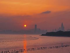 -深圳湾公园(南山区)