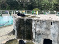 -柳州市动物园