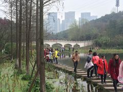 -重庆彩云湖湿地公园