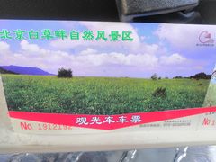 -白草畔自然风景区