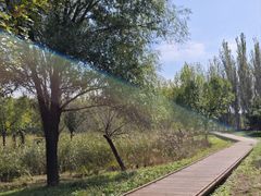 -东郊湿地公园