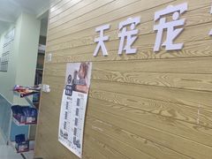 -天宠宠物医院24小时·急重症诊疗中心·全科·腔镜特色(和平分院)