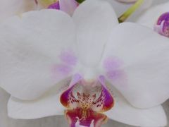 -大连福佳爱琴海购物公园(西安路店)