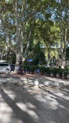 -河南中医药大学第一附属医院-医疗整形