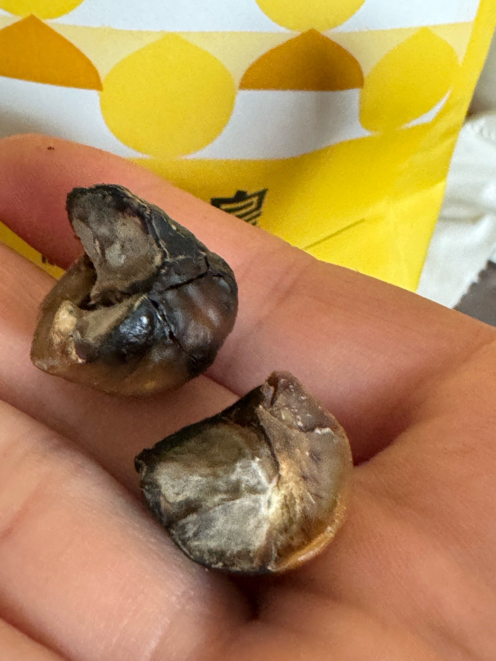 粒上皇的板栗没以前好吃了