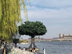 -咸阳湖景区