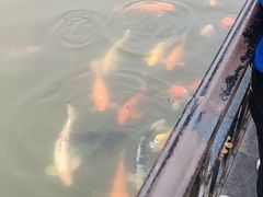 -珠海圆明新园