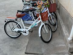 -大理洱海