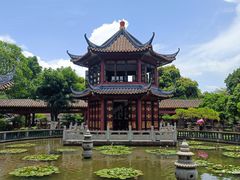 -碧江金楼