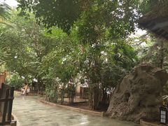 -龙达温泉生态城