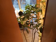 -奈雪茶院·茶室茶馆(广州粤海天地店)
