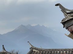 -蘑统田下·野生菌火锅