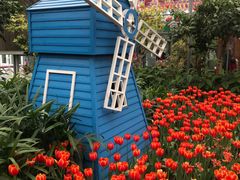 -南宫五洲植物乐园