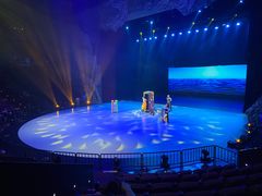-重庆国际马戏城