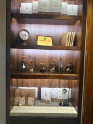 -美健盛世·美容SPA连锁