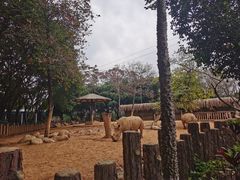 -南宁市动物园