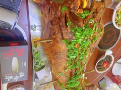 -杨正宗烤全羊(北二环店)