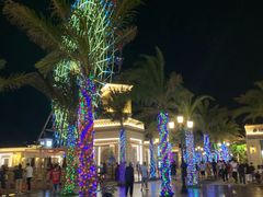 -三亚海昌梦幻海洋不夜城