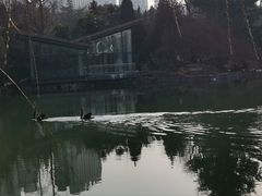 -西苑公园