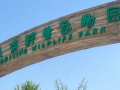 -北京野生动物园