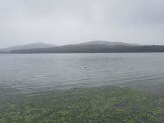 -水上明月·湖景餐厅