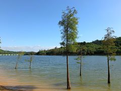 -凤岗南门山森林公园