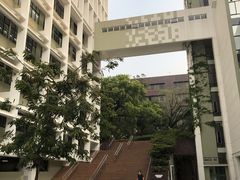 -香港大学