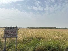 -黄沙古渡原生态旅游区