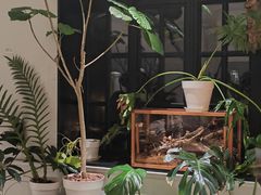 -一尺花园(安和花园店)