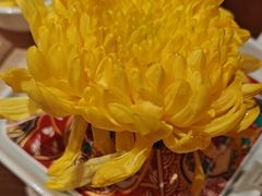 -石鼎香·非遗淮扬火锅(江都龙川桥店)