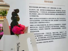 -X88商场(铜仁路店)