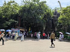-昆明动物园
