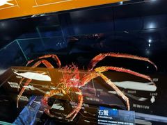 -同济大学四平路校区深海探索馆