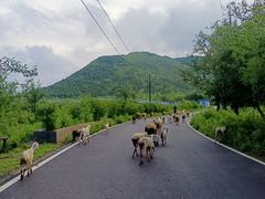 -十三陵水库