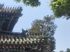 -潭柘寺景区
