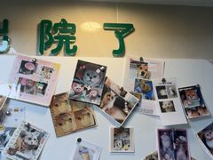 -半岛宠物医院24小时·内窥镜·牙科·碎石中心(府城大道店)
