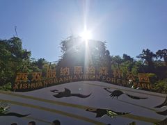 -西双版纳原始森林公园