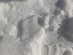 -绿野森林乐园冰雪季